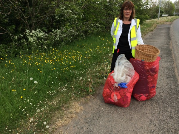 Testun Arall Delwedd 1