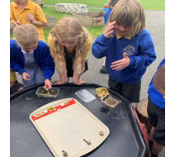 Uned dan 9 ras falwod 2