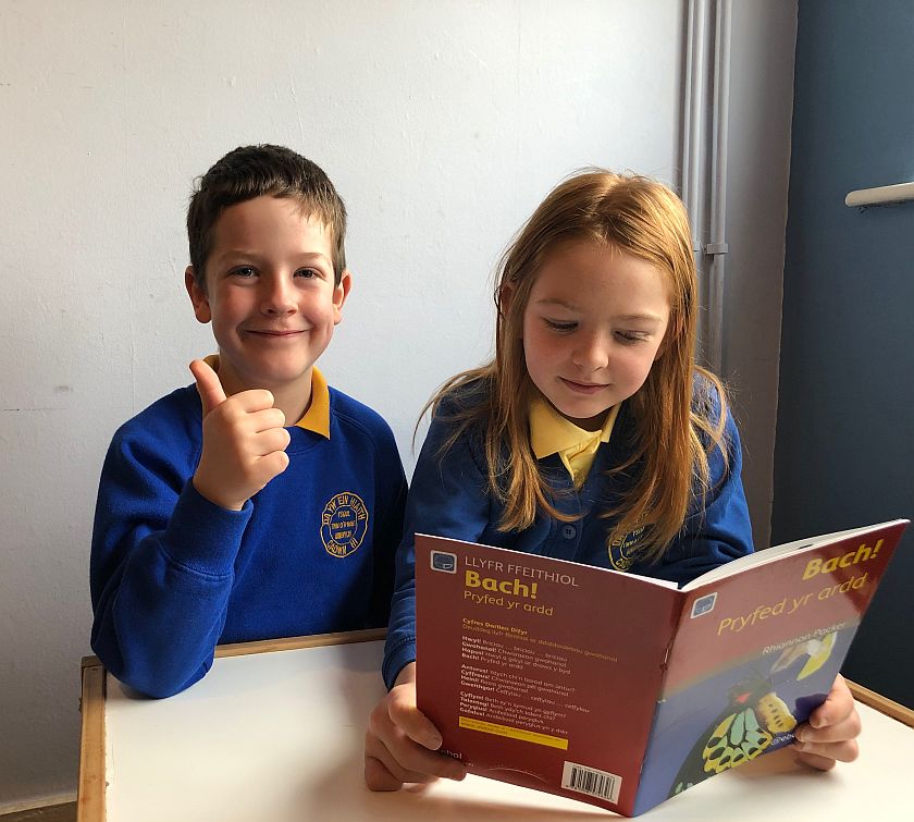 disgyblion yn darllen