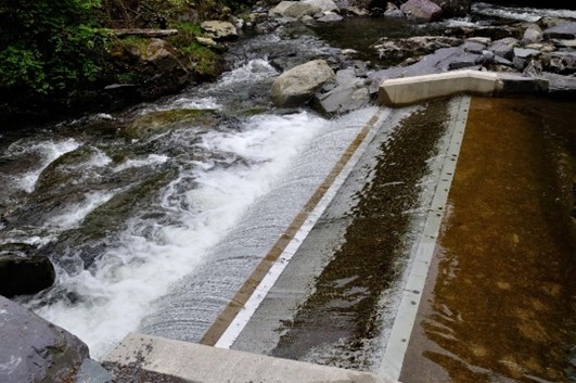 Testun Arall Delwedd 1