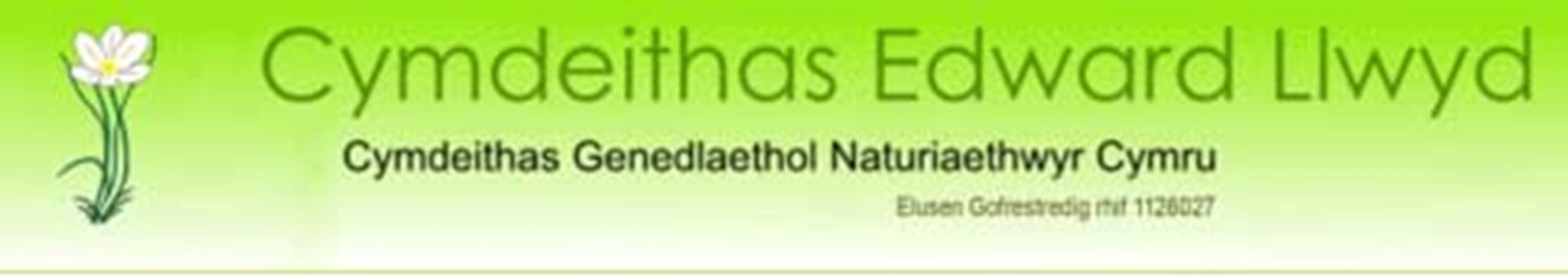 cymdeithas edward llwyd